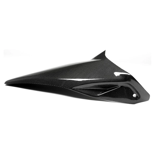 Ilmberger Carbonteile für Ducati Monster/glänzend