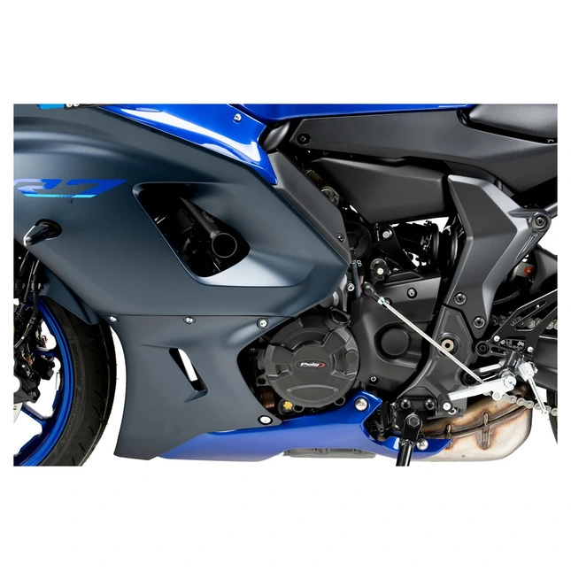 Puig Motorgehäuseschutz