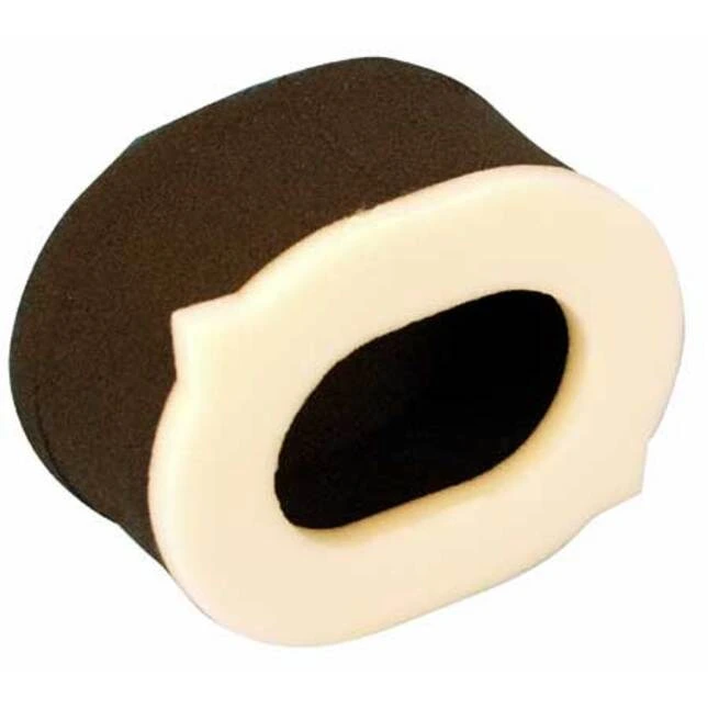 Champion Luftfilter