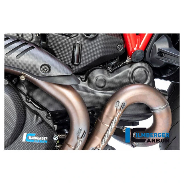 Ilmberger Carbon Teile für Ducati Monster/matt
