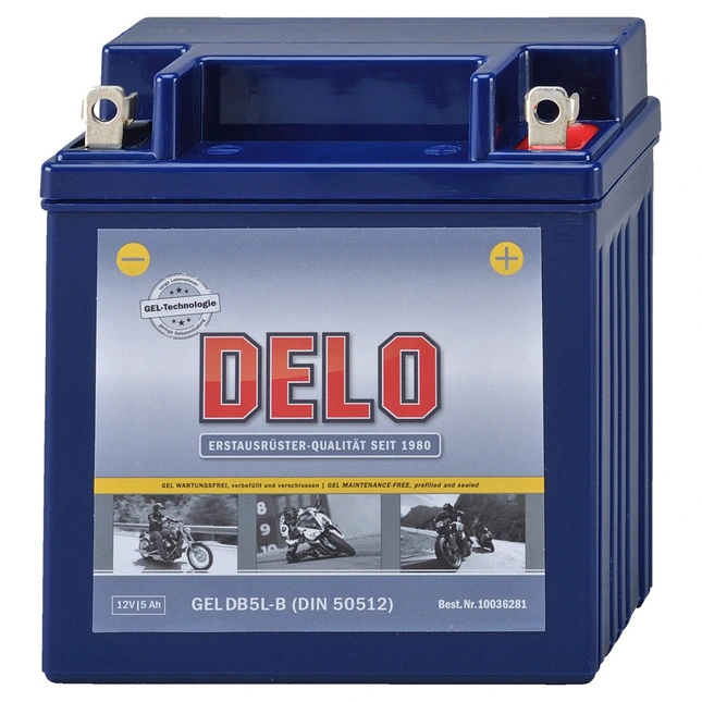 Delo Gel Batterie