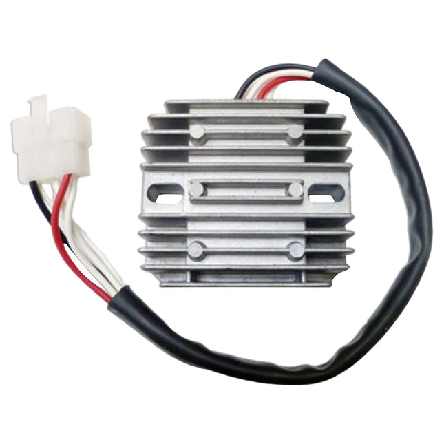 TECNIUM Lithium-Ion Lichtmaschinen-Regler