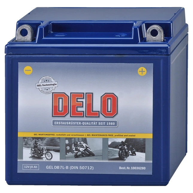 Delo Gel Batterie