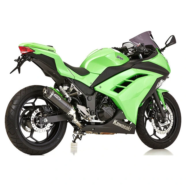Shark Auspuff STREETGP S/O 2-1 CB