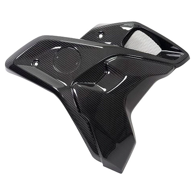 Ilmberger Carbonteile für BMW R1250 GS/Adventure