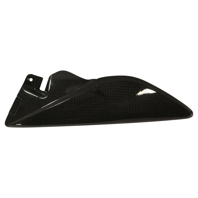 Ilmberger Carbonteile Triumph Speed Triple 11-15