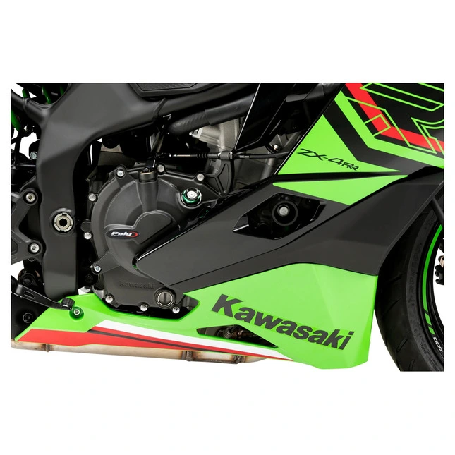 Puig Motorgehäuseschutz