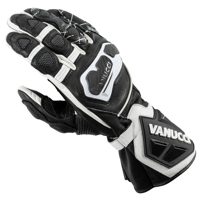 Vanucci VSG-1