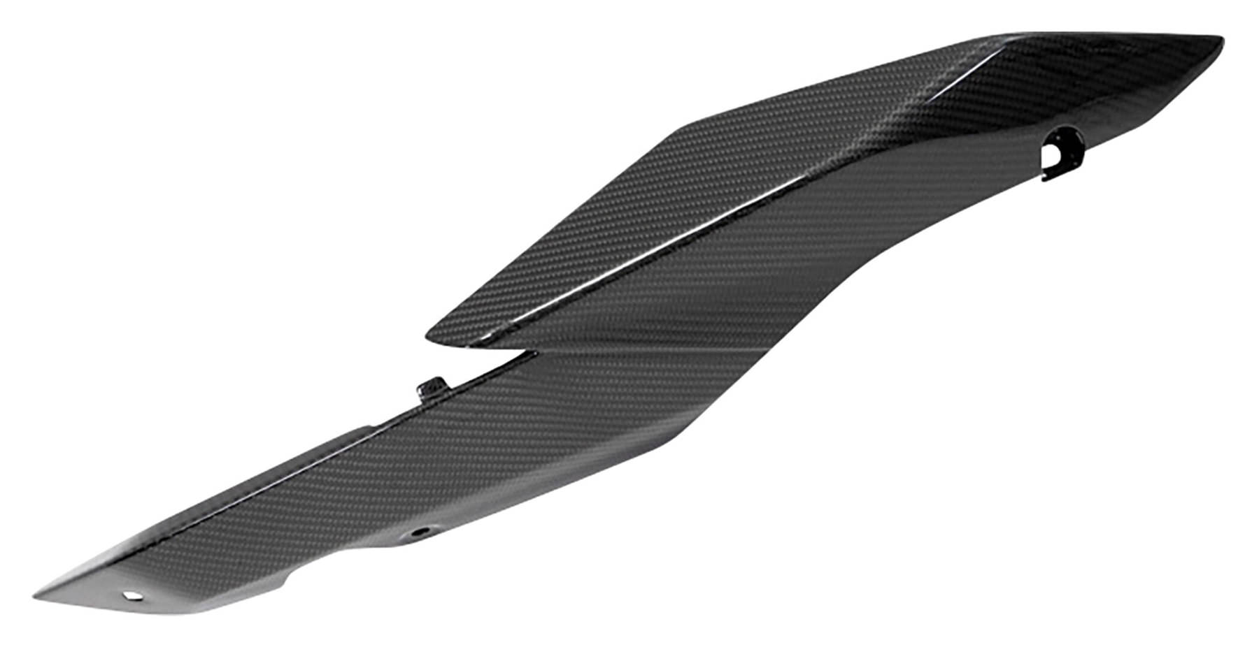 Ilmberger Carbon parts for BMW R1250 R/RS 19