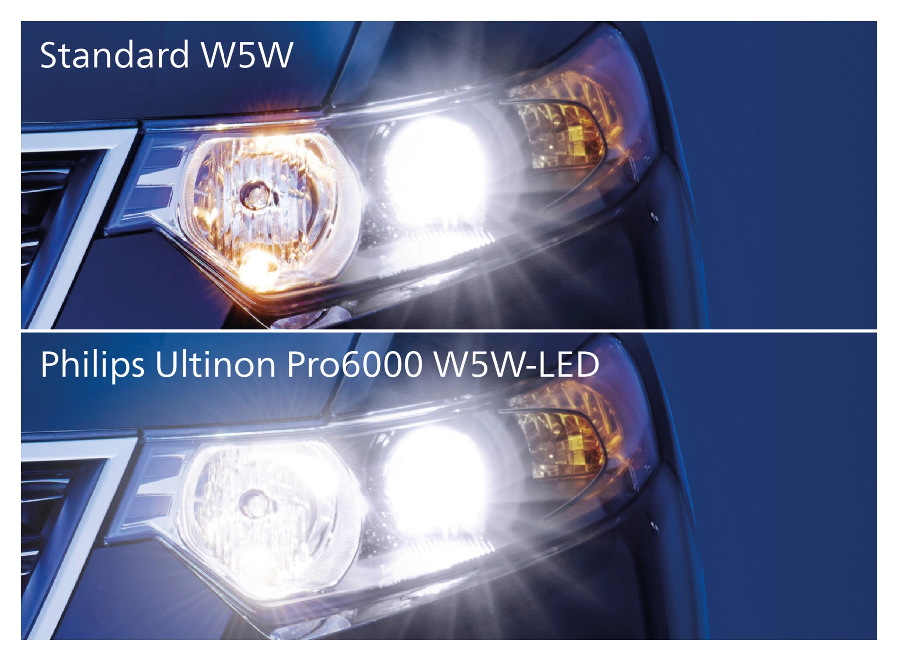 Lampe mse niveau LED W5W Ultinon Pro6000