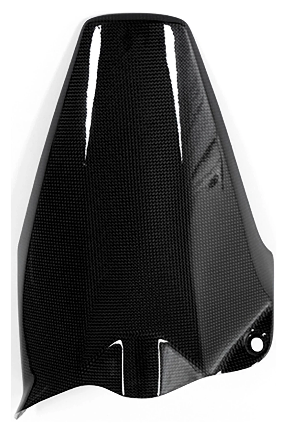 Carbonteile für Ducati Monster 1200 /glänzend