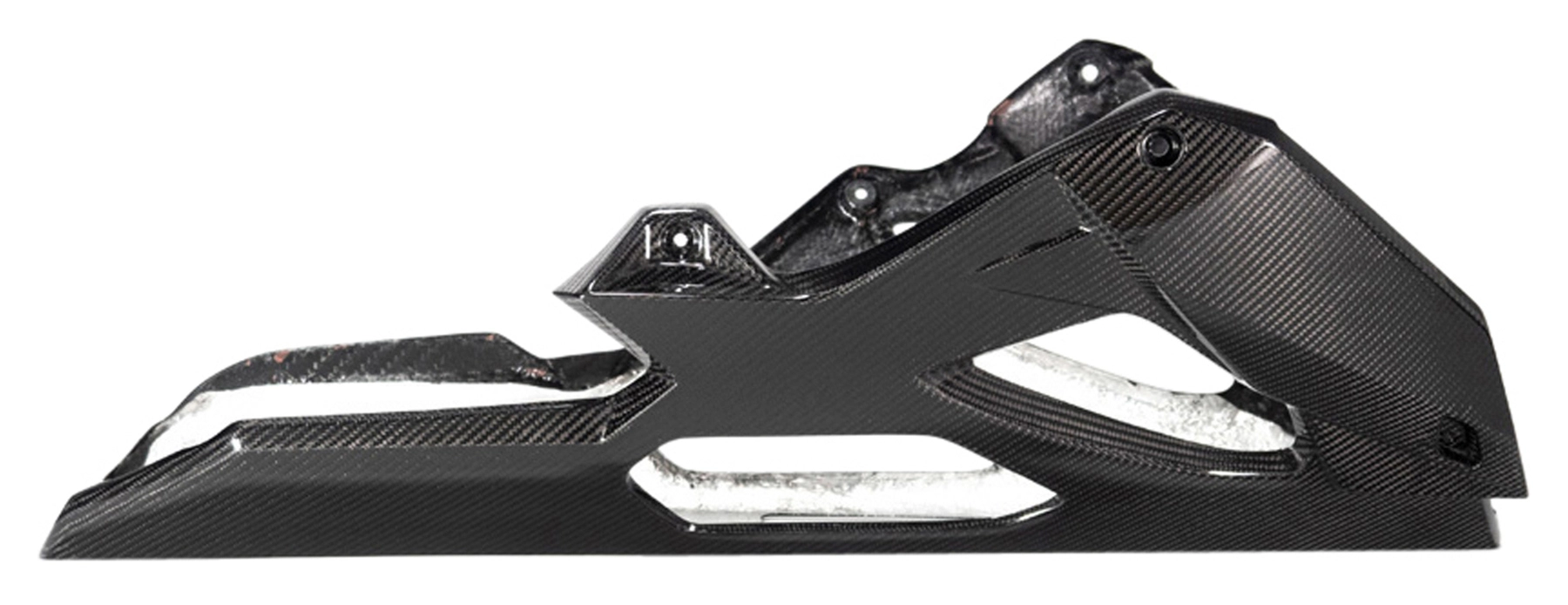 Carbonteile für BMW S1000 R ab 2014