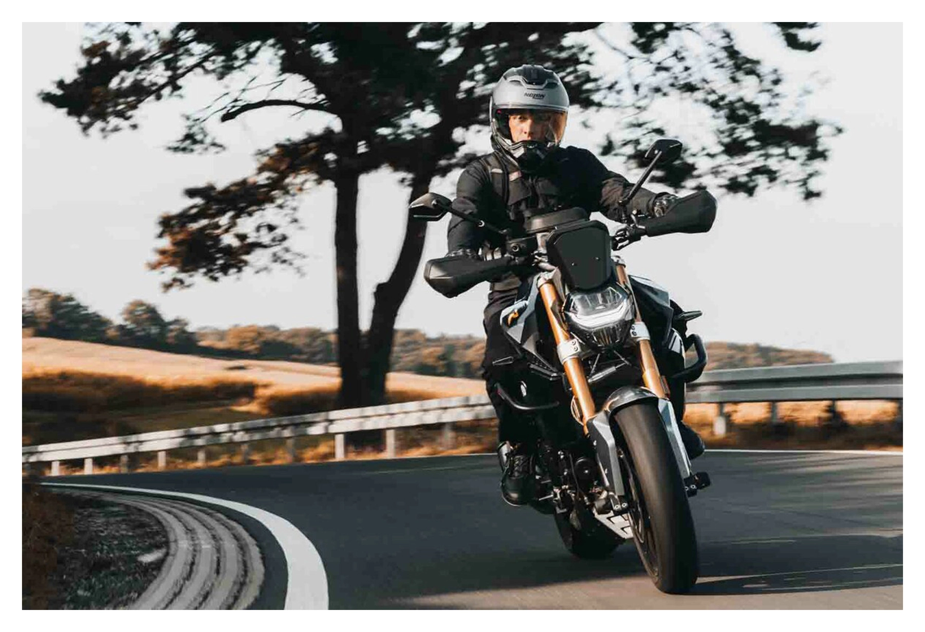 Hand Guards Sport