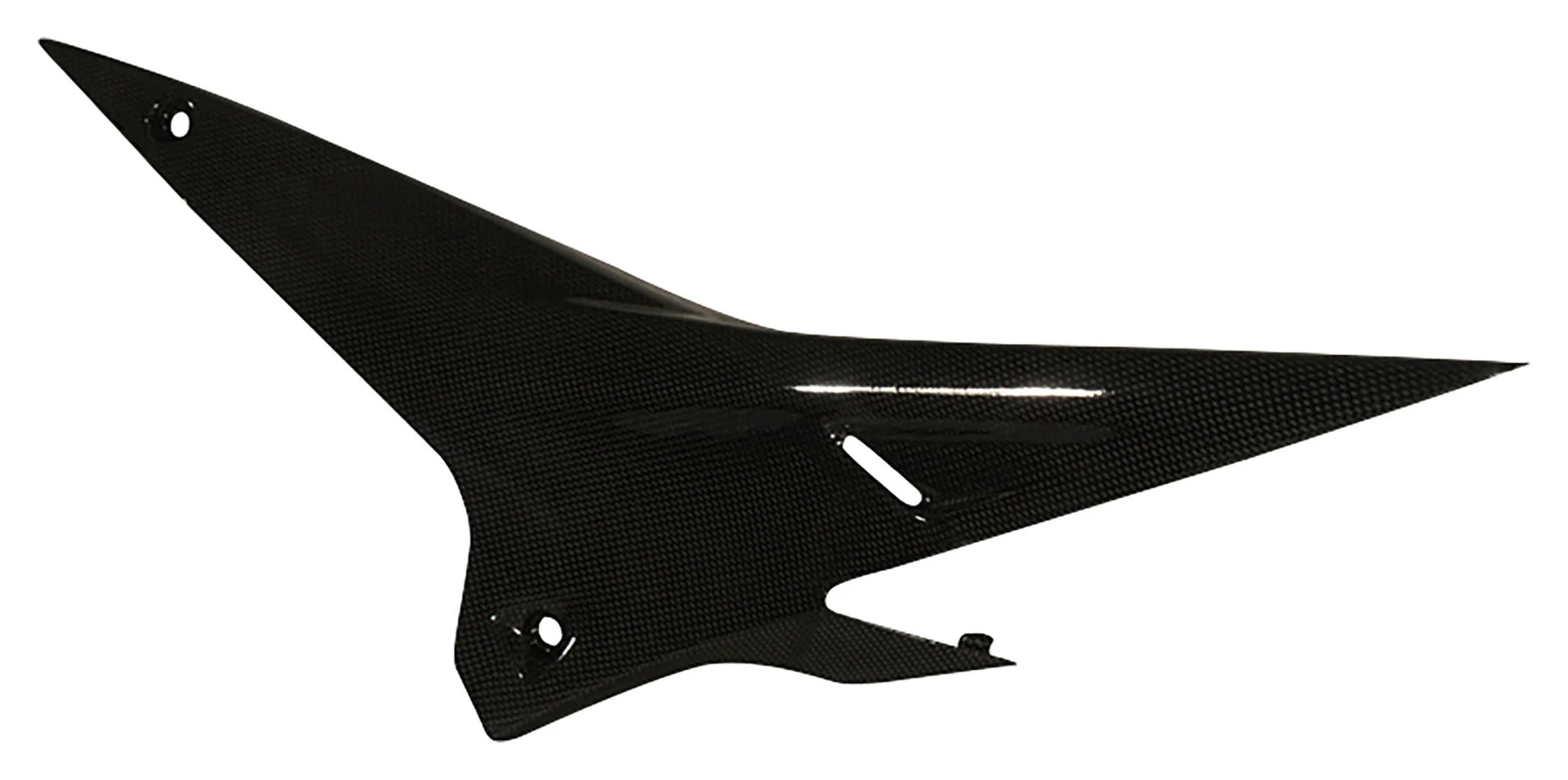 Carbon parts for Aprilia Tuono V4 2011-