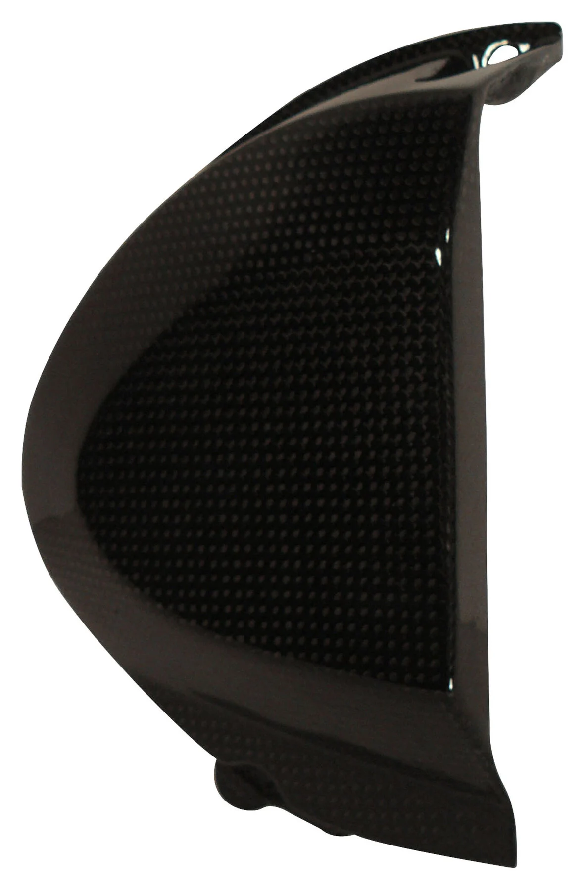 Carbon parts Triumph Speed Triple 11-15