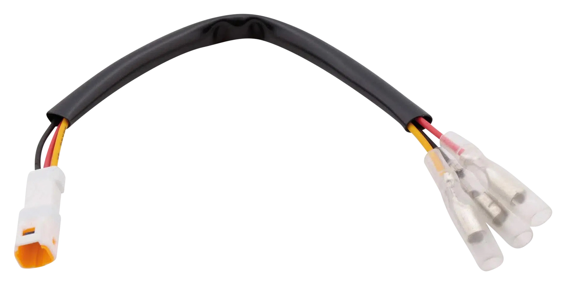 Adapterkabel für Triumph Motoism-Blinker