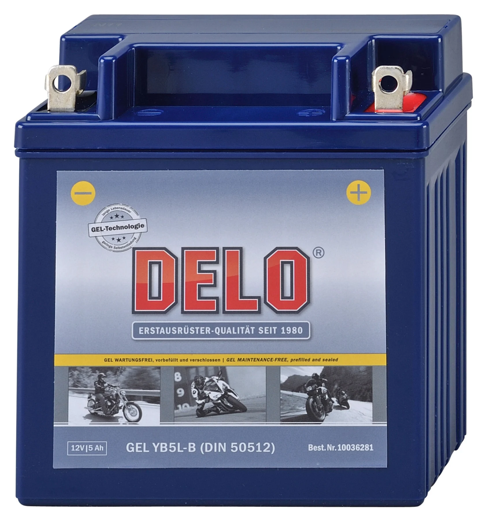 Gel Batterie