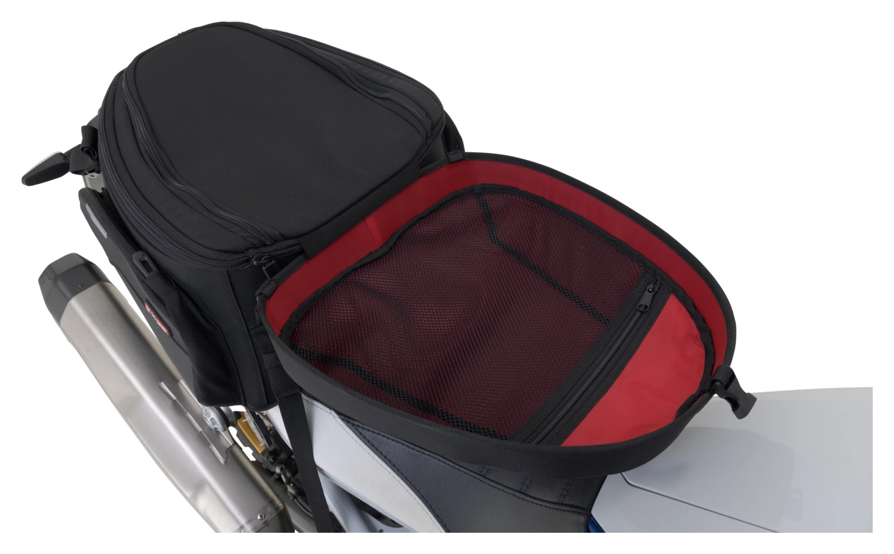 Louis Anniversary Edition Rear Pannier