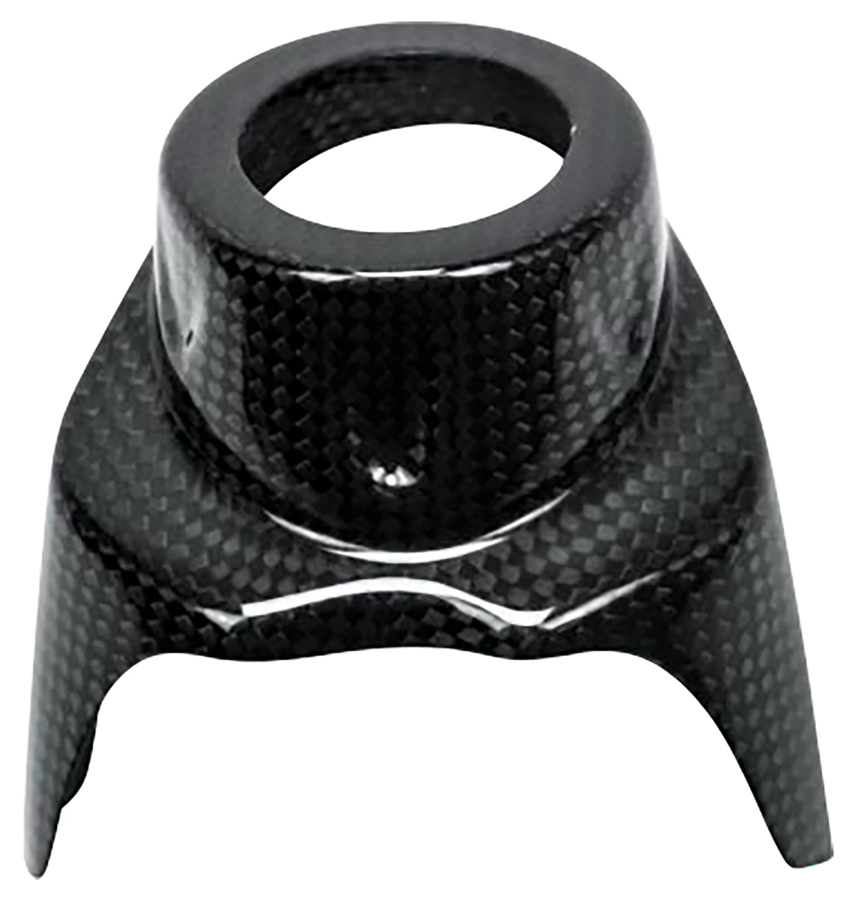 Comp.carb.per tutti i modelli BMW RnineT