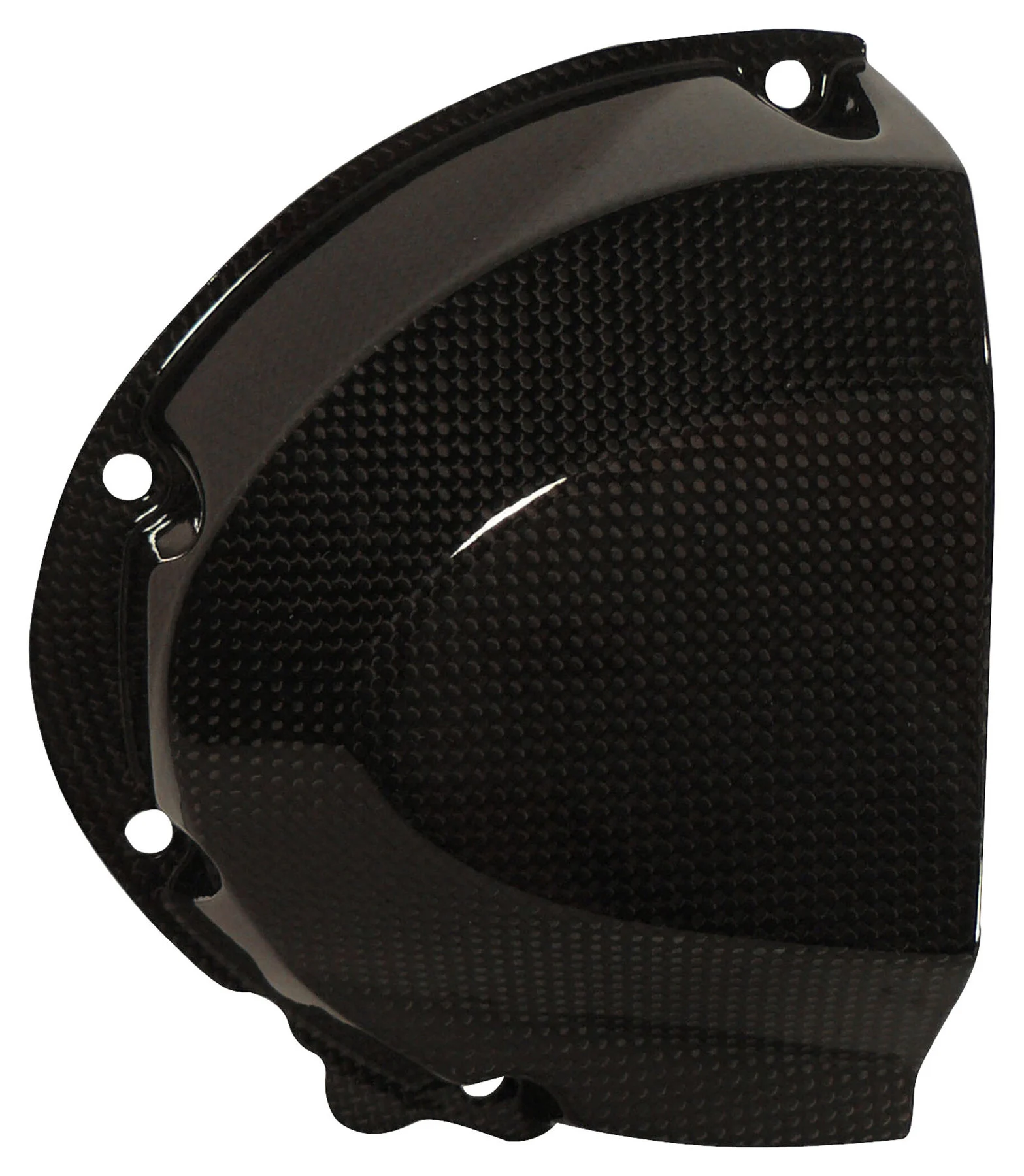 Carbonteile Triumph Speed Triple 11-15