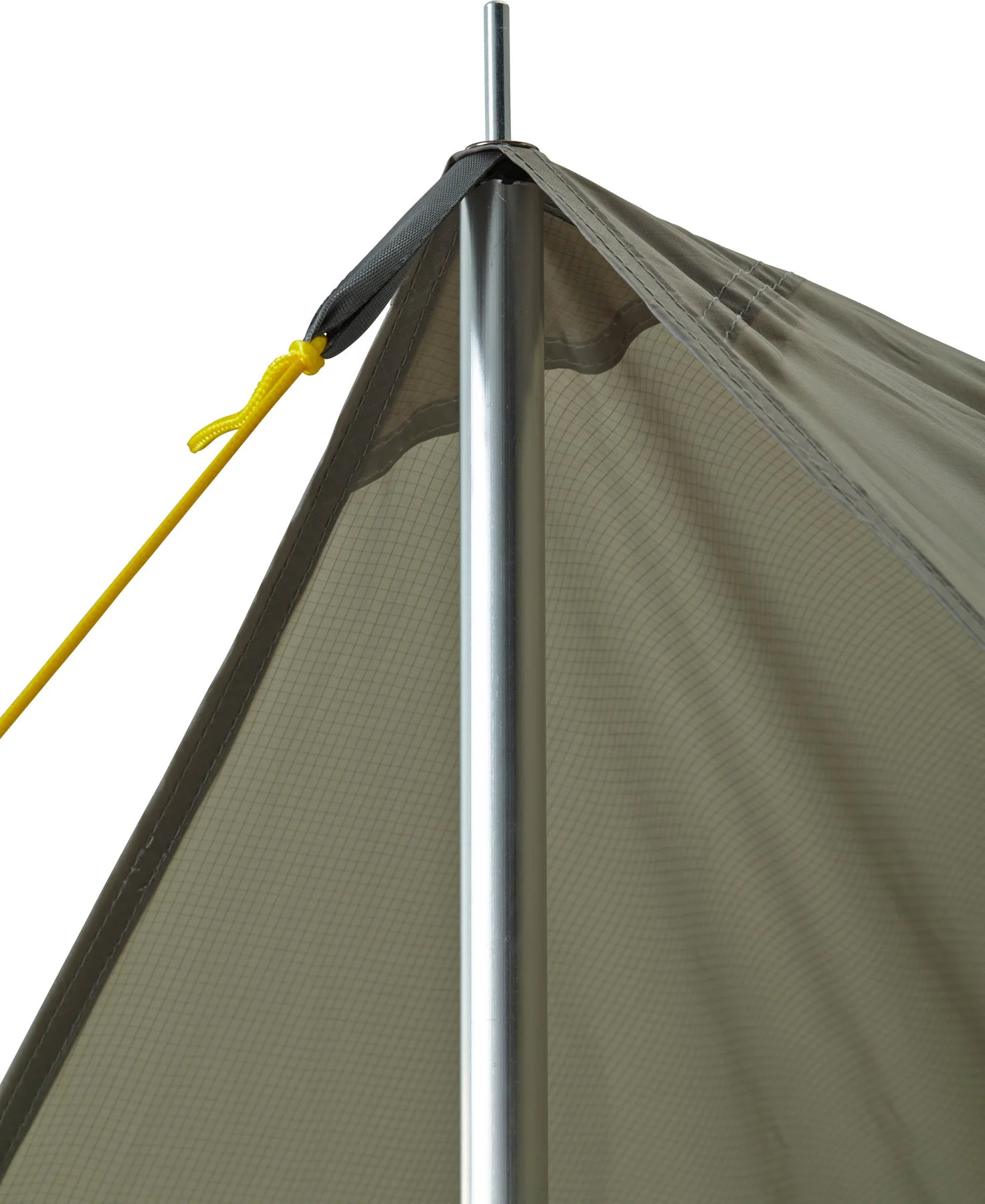 Tarp Oak