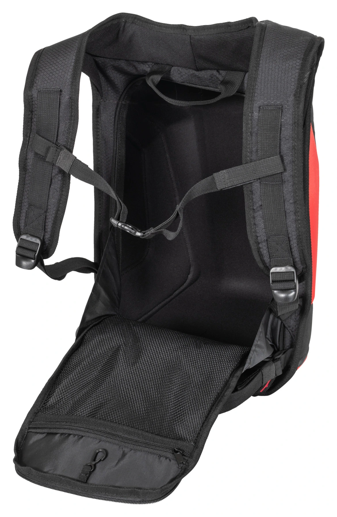 I get racks louis backpack on my back discount
