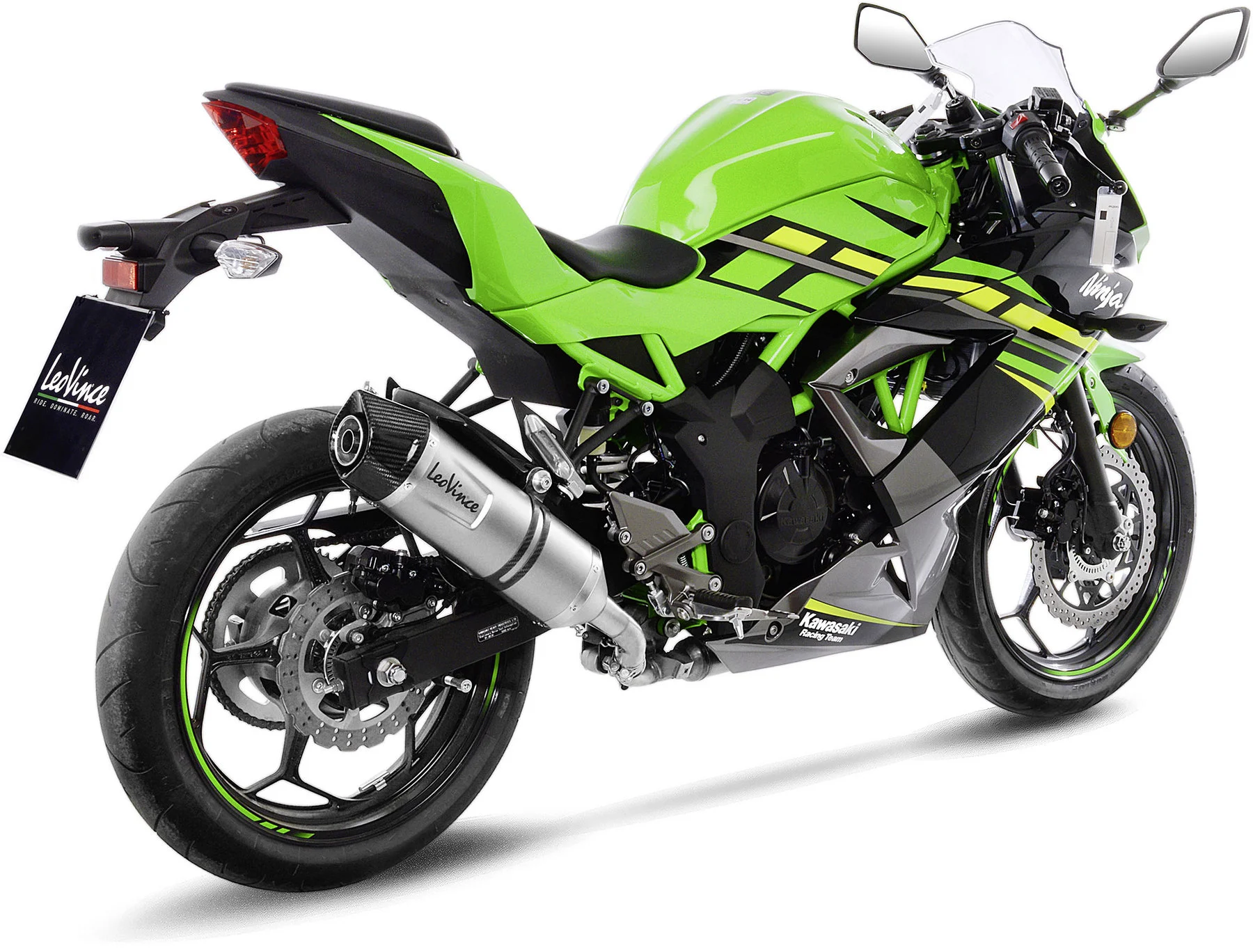 LeoVince LV-One Evo Exhaust System