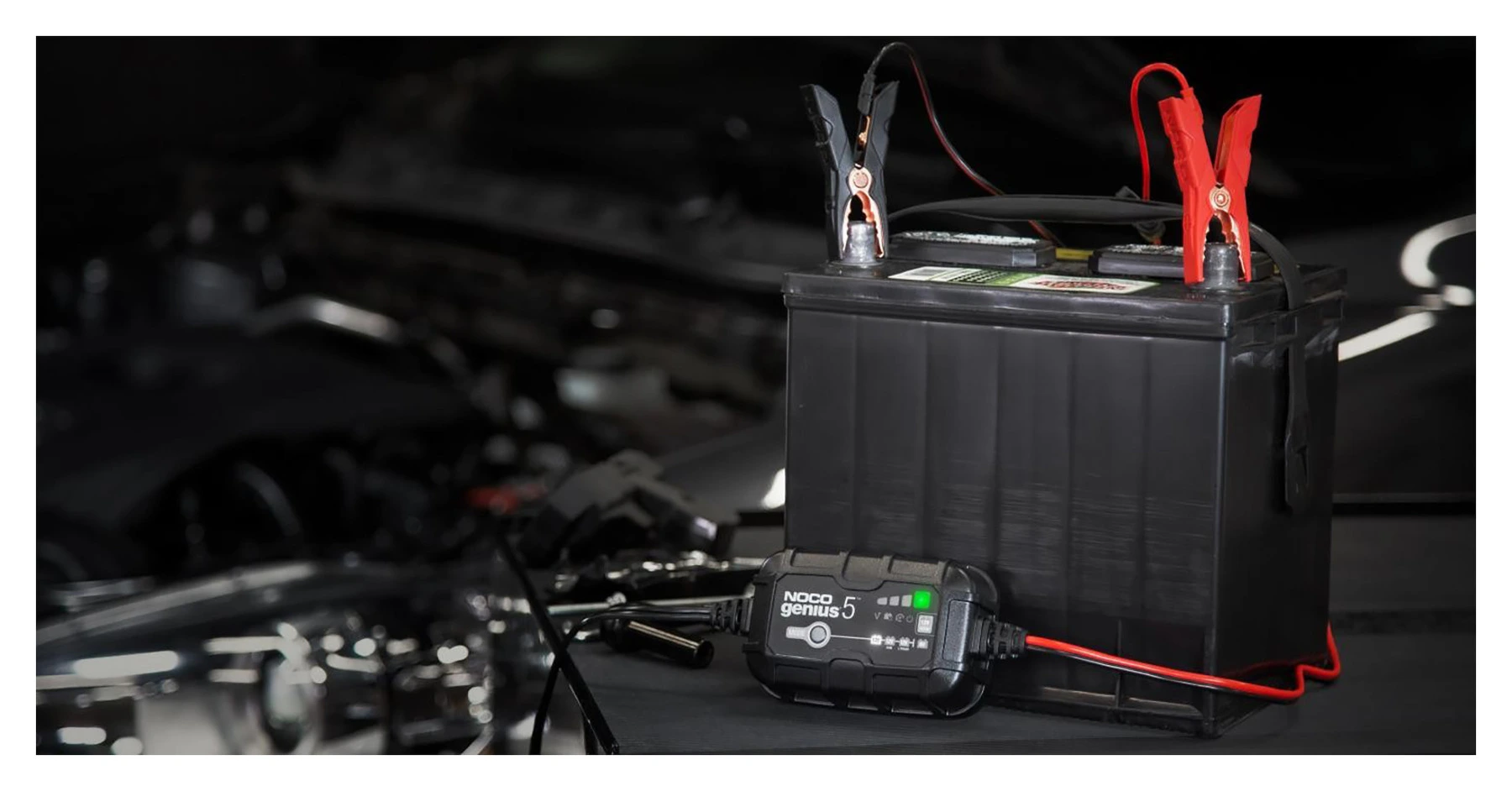 GENIUS5 chargeur de batterie intelligent