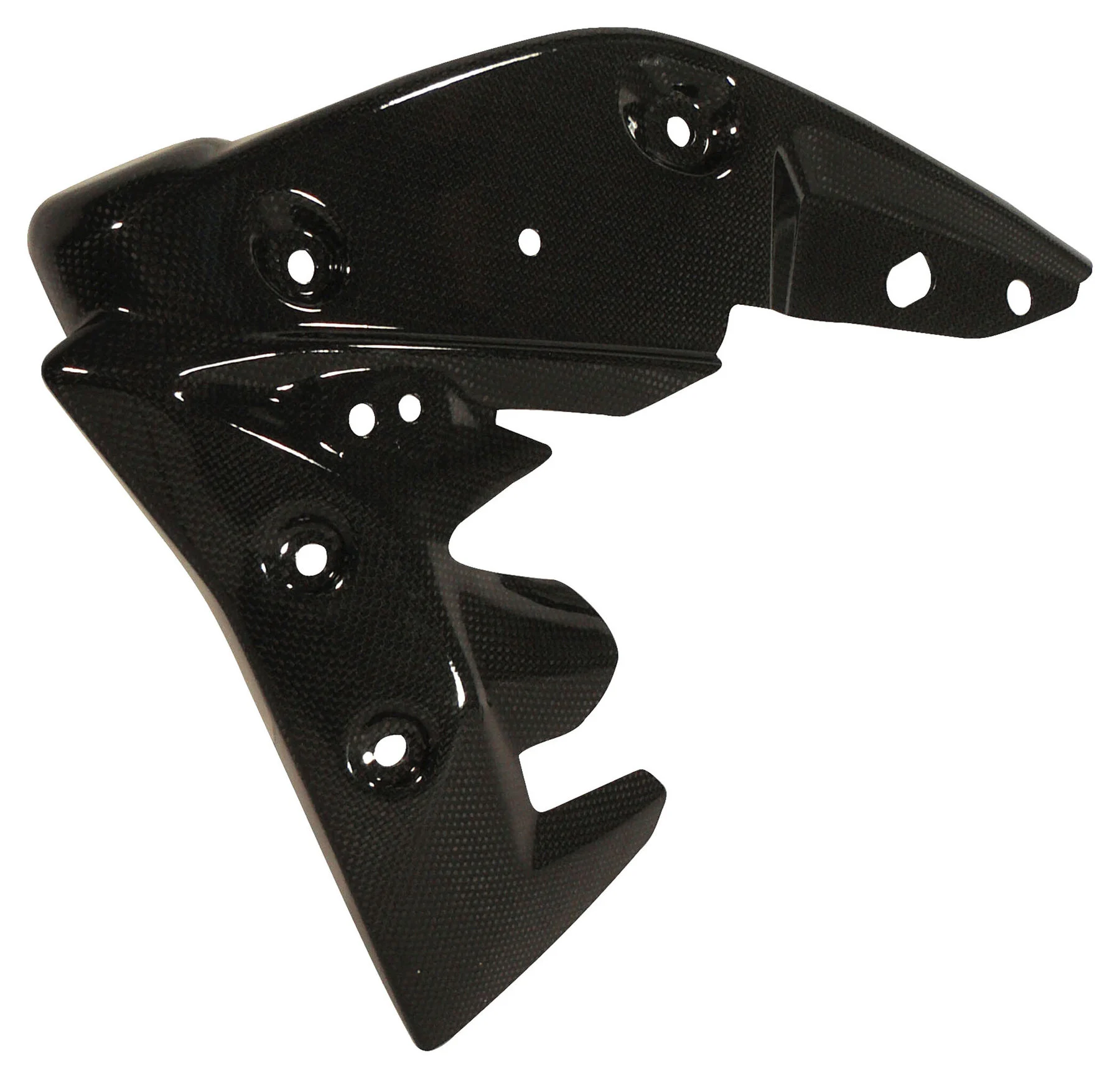 Carbonteile Triumph Speed Triple 11-15