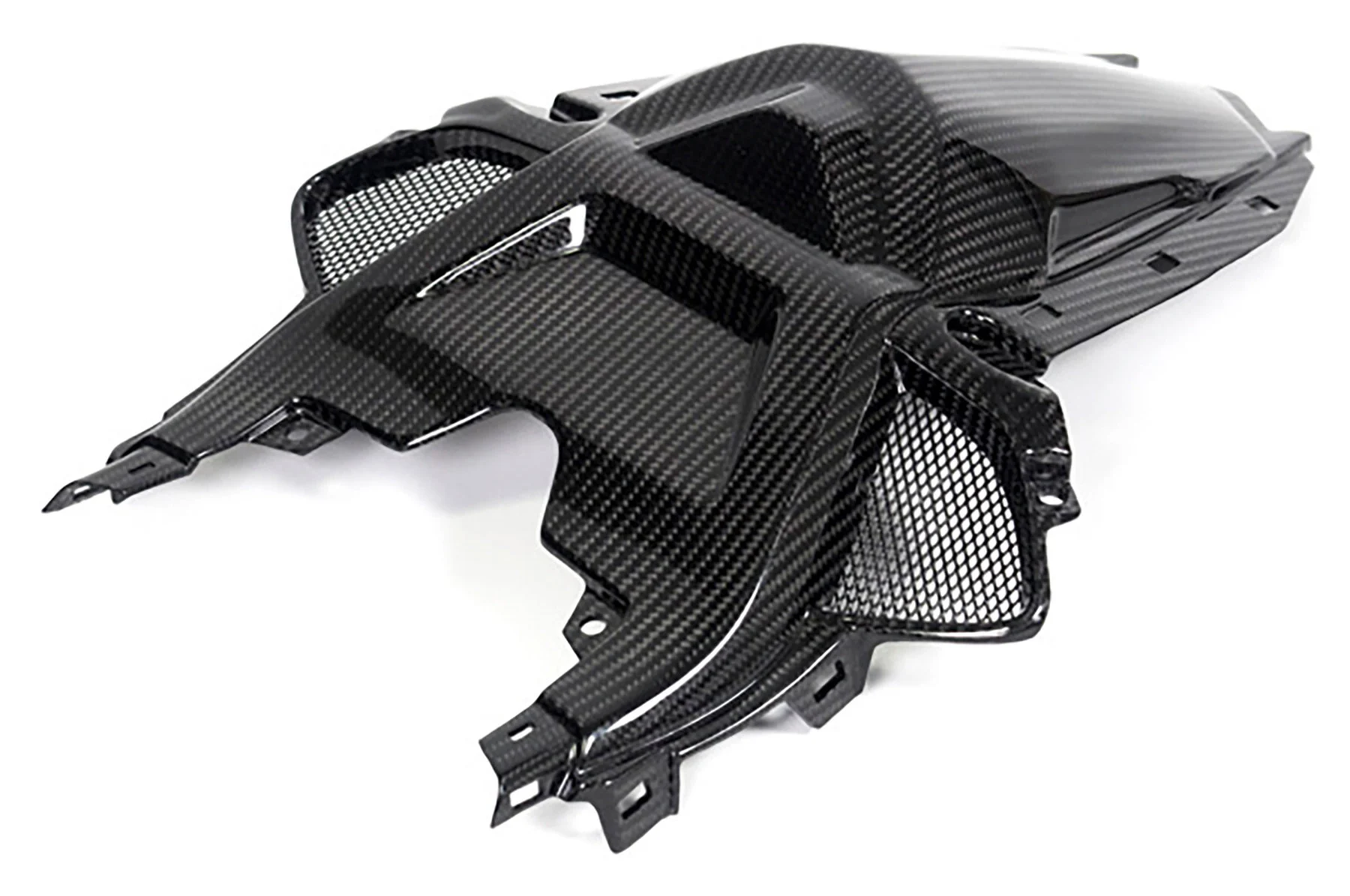 Carbon parts for BMW S1000 RR from 2019