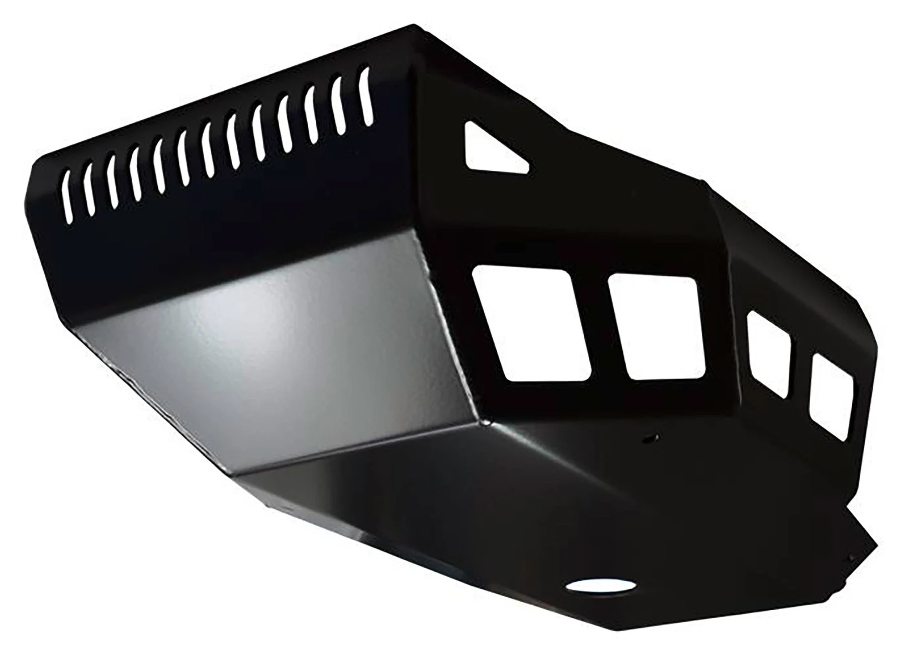 Engine Guard In Black