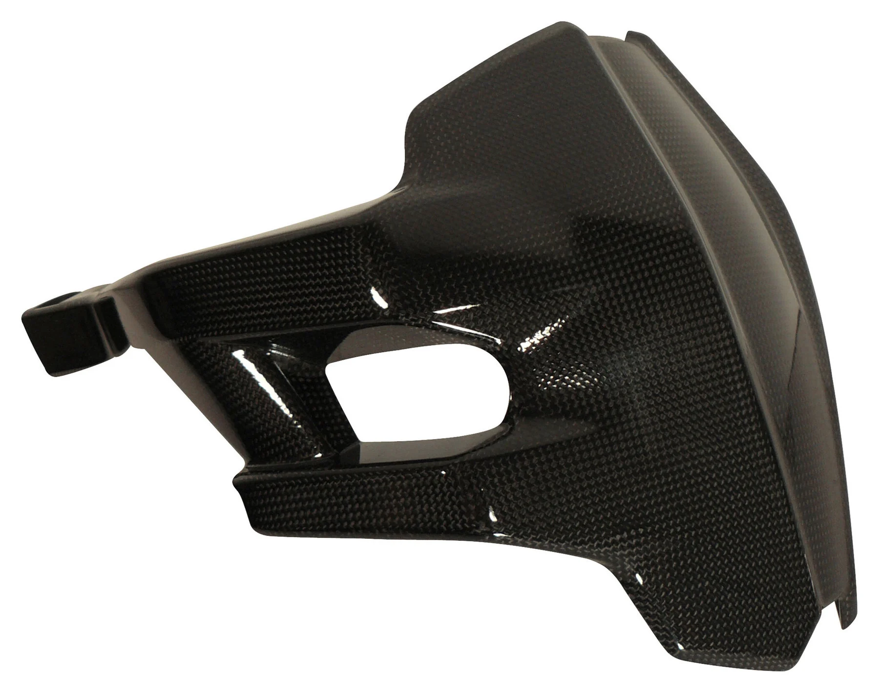 Carbonteile für Ducati Multistrada/glanz