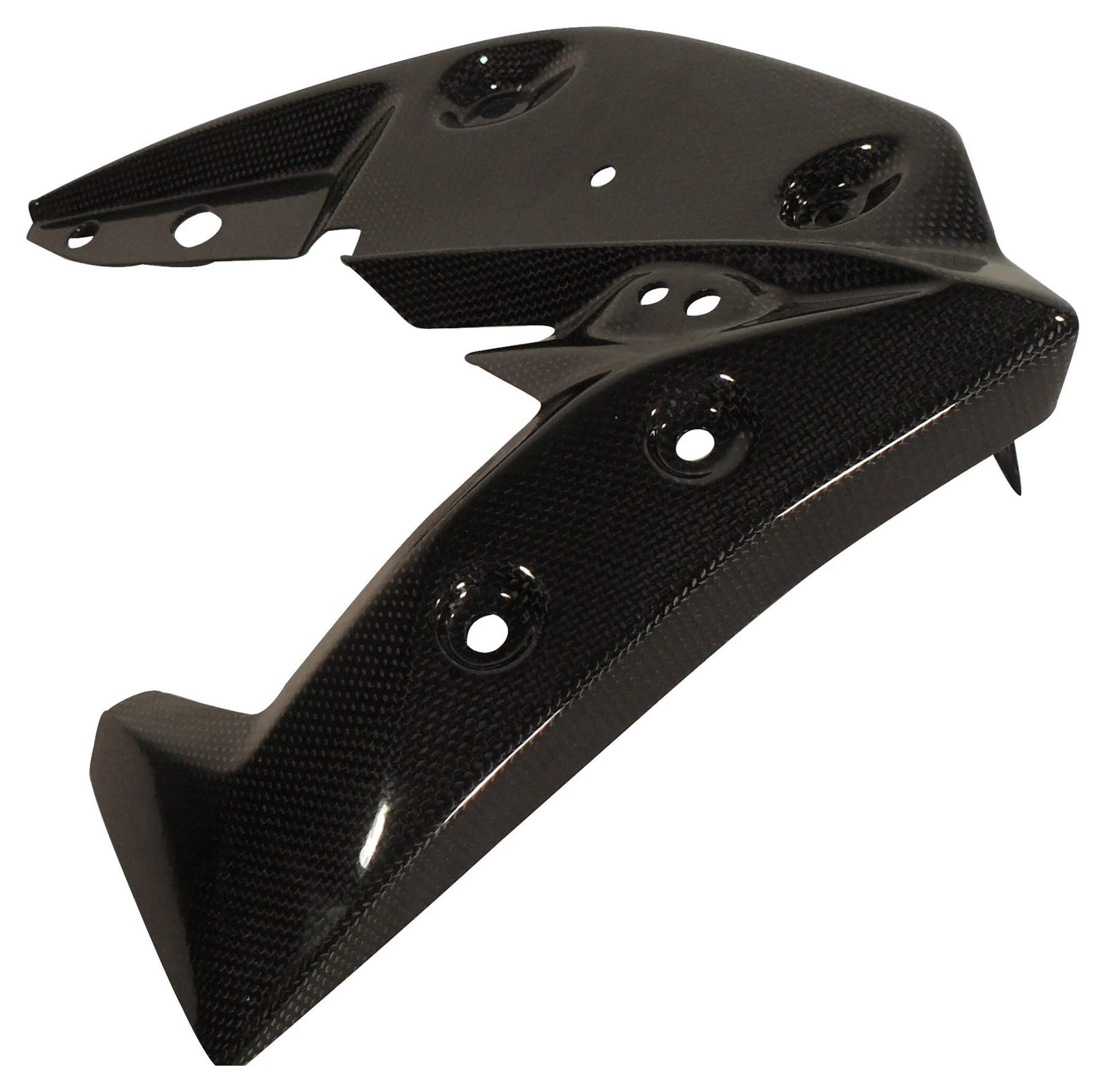 Carbonteile Triumph Speed Triple 11-15