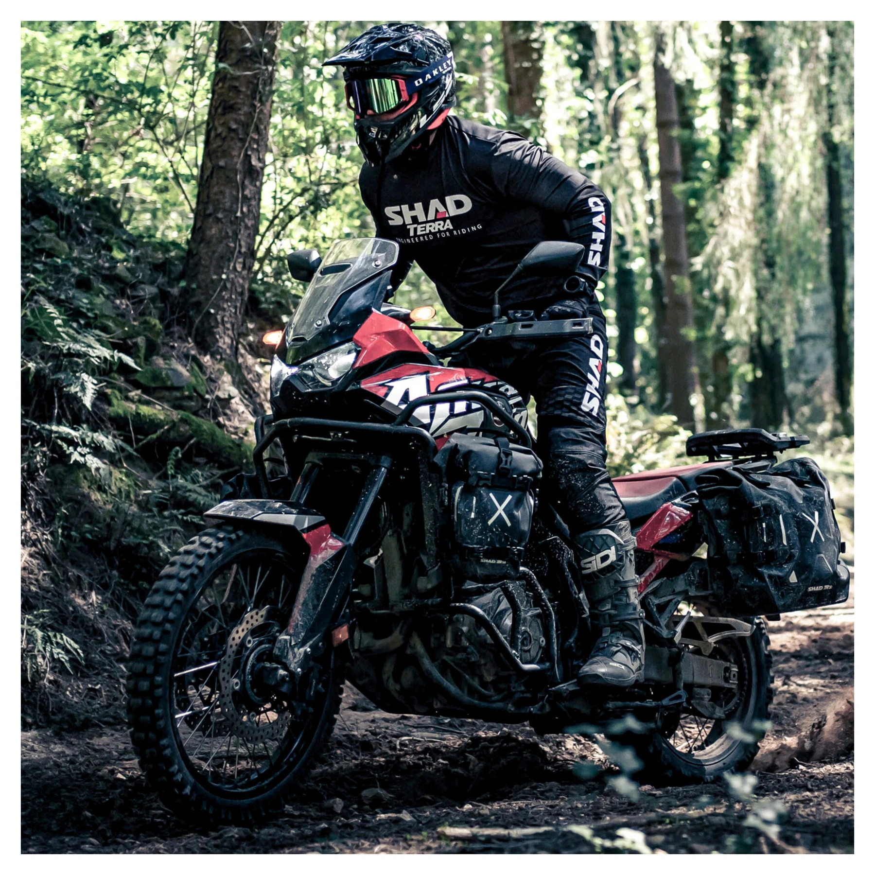 Fenderpose TR08