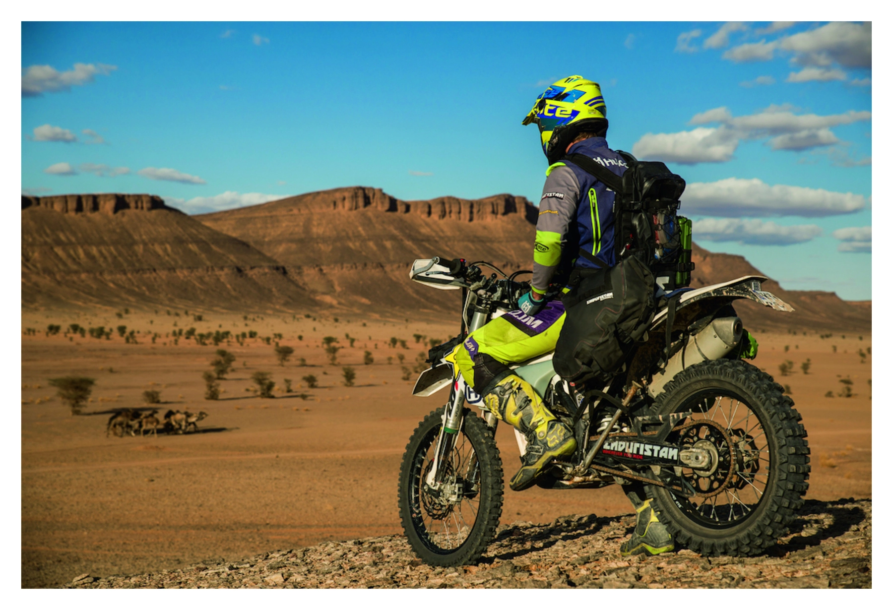 Saddlebag