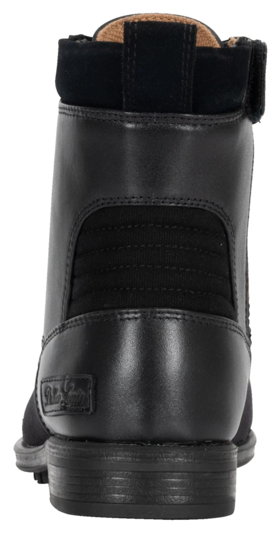 DL-BM-6
