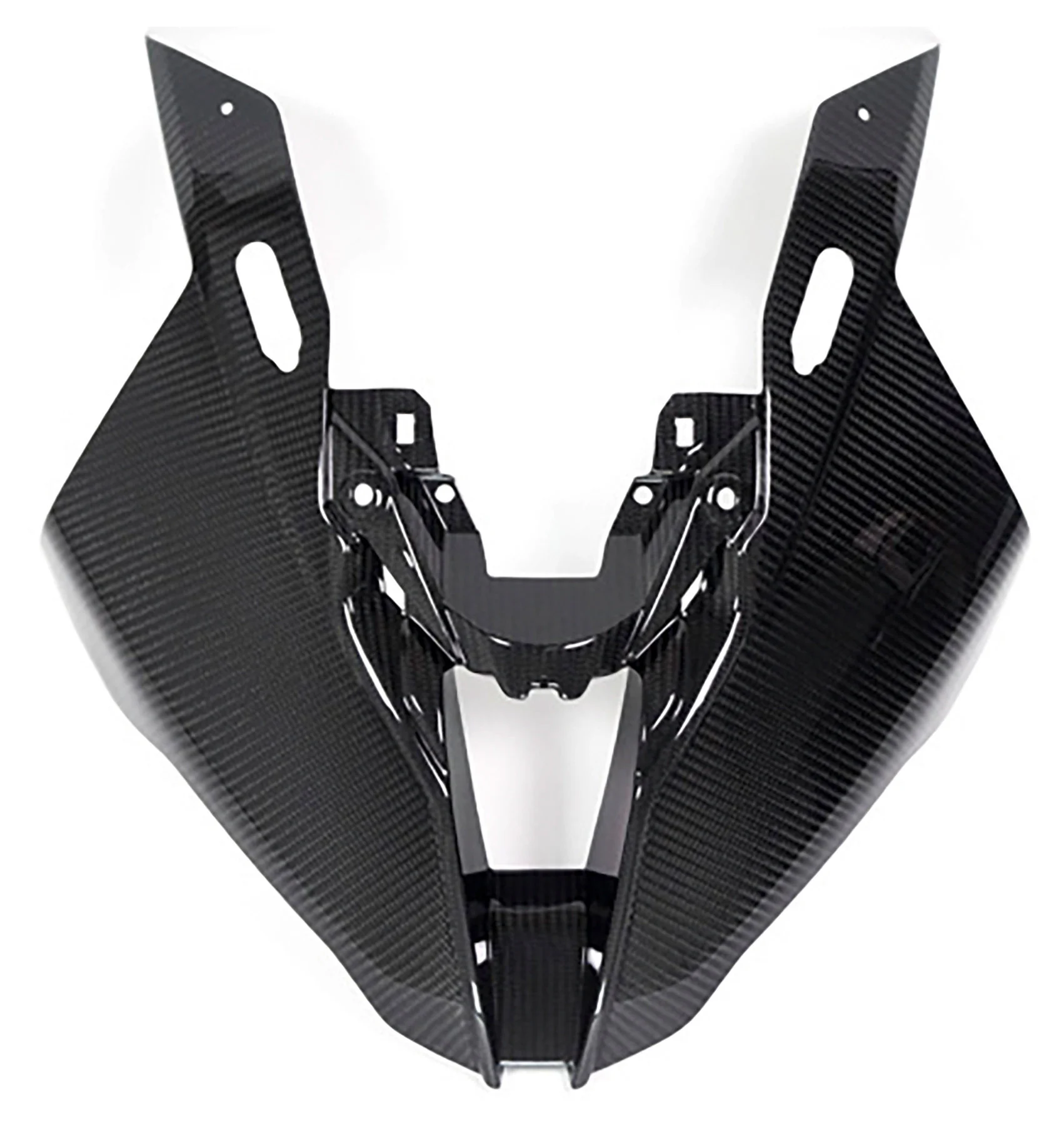 Carbon parts for BMW S1000 RR from 2019