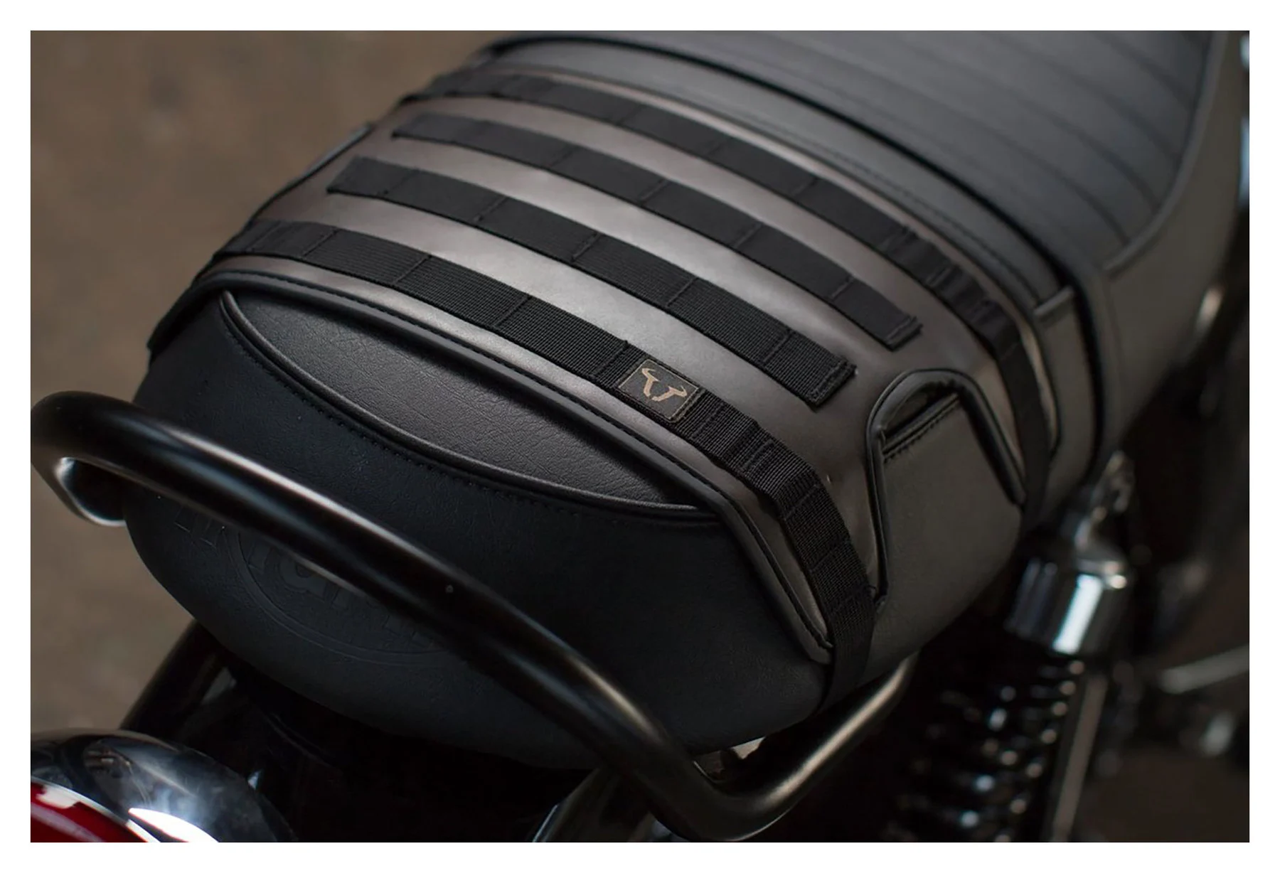 Saddlebag Set Ls