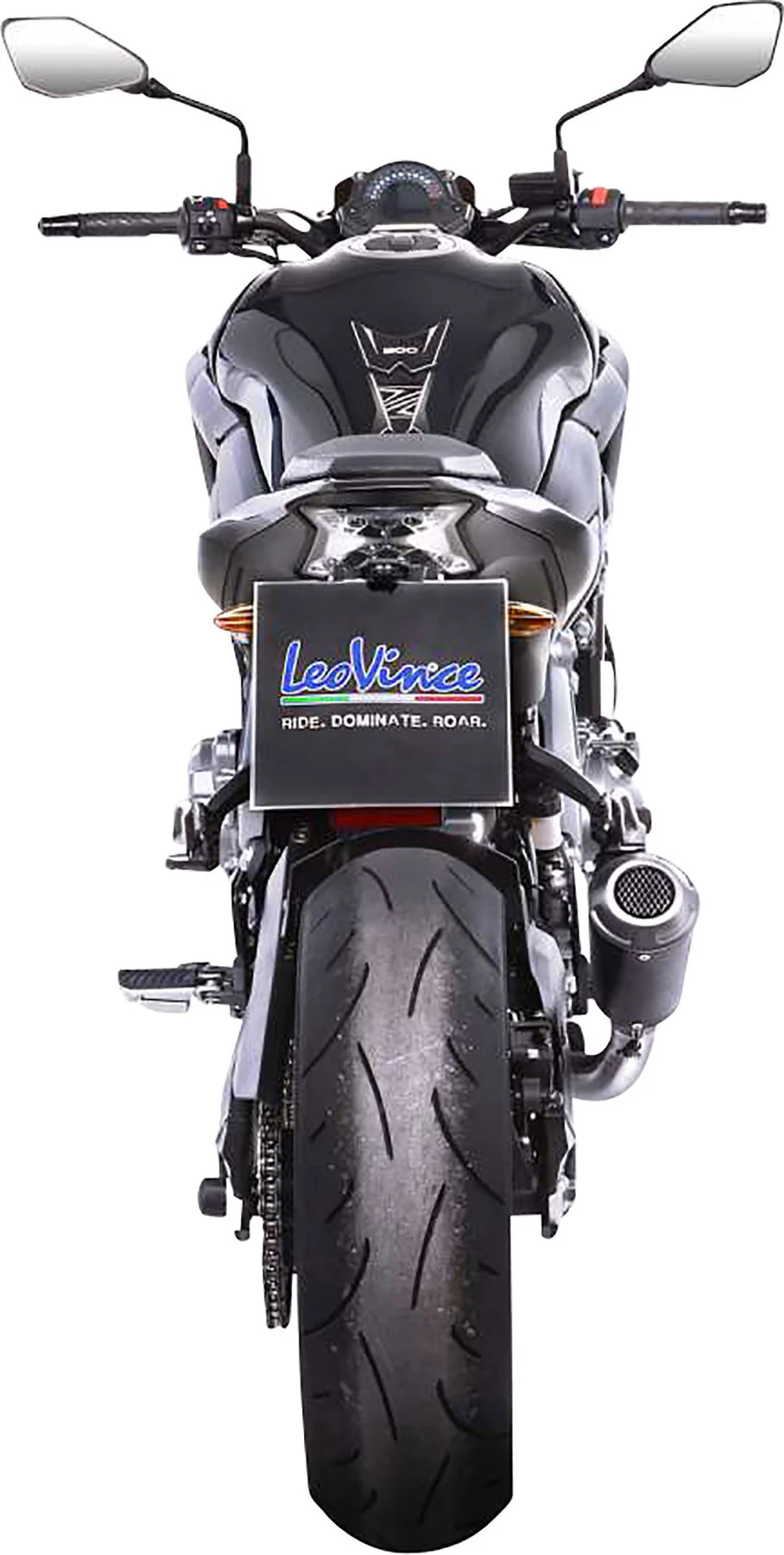 LeoVince LV-10 silencer with EG-BE