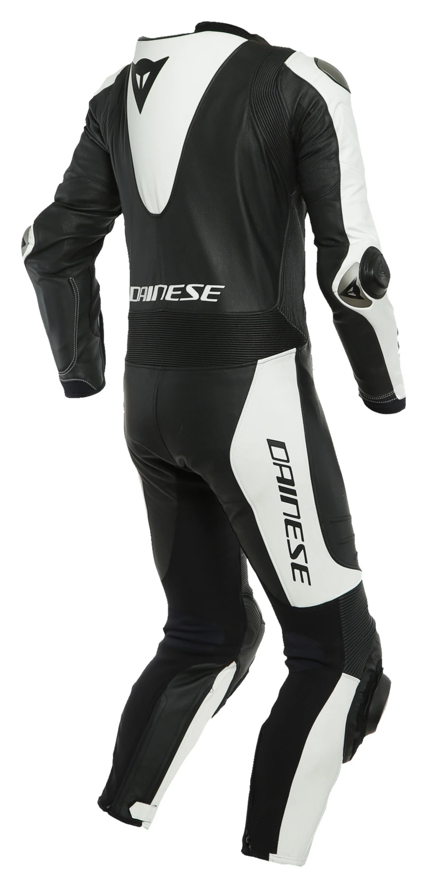 Laguna Seca 5 Cuir