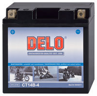 DELO BATTERIA AGM