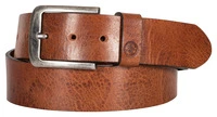 DL-AC-4 , Bruin