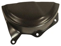 Carbonteile für Ducati Panigale 899/1199