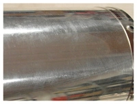 Sp St.Steel Silen.