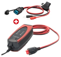 Set: ProCharger 1.000 Lithium inkl.