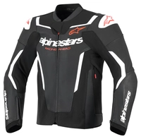 Alpinestars GP Force V2 leathercombijack
