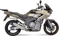 Gp Auspuffsystem Mit Eg-Be