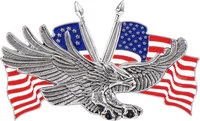 ADLER MIT US-FLAGGE
