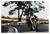 Hand Guards Sport