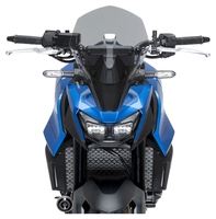 PUIG écran touring avec ABE